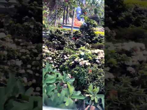 #my Prakasam Park Tirupati # request please# subscribe #friends support my channel 🙏👍