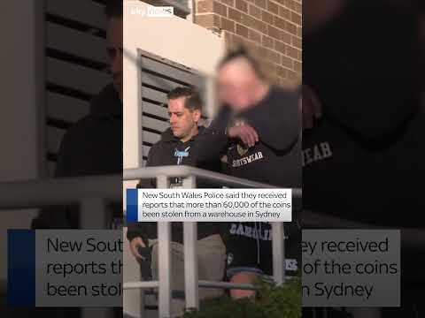 Man charged with theft of Bluey coins
