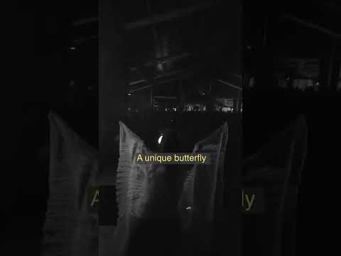 TALES FROM TRANSIT VOL. 1 (OF 4)