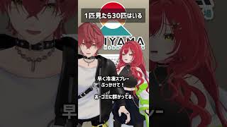1匹見たら30匹はいる #VRChat #Shorts
