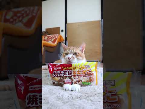 猫の動画サムネイル - よくばりグルメ（焼きそば＆たまご）　250630 #cat #cute #ねこ　#のせ猫 #ネコ #kitten #猫のいる暮らし　 #cutecat　 #animals