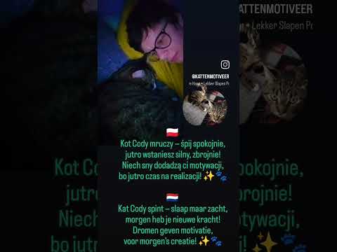 Kat Cody spint — slaap maar zacht,morgen heb je nieuwe kracht!! ✨🐾#dromen #goedenacht #kracht#cody
