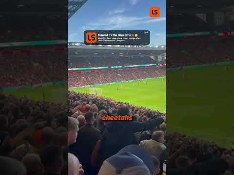 Man City Fans NEW Chant: 'Mauled By The Cheetahs' 🐆