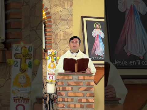 #EvangeliodeHoy #MisadeHoy Lunes 06 de Mayo de 2024 #Padre Ricardo Prato #Short