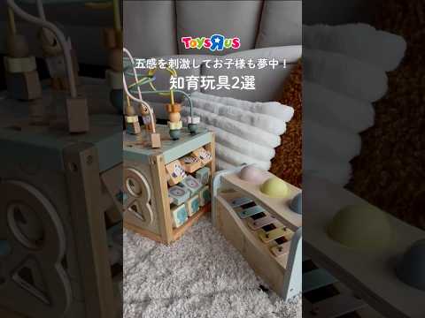 🏷木製ミディアムアクティビティキューブ🏷木製たたいてころころハンマーボール&鉄琴優しいカラーと優しい音色に赤ちゃんも夢中♬ #トイザらス#toysrus#ベビーザらス#Babiesrus