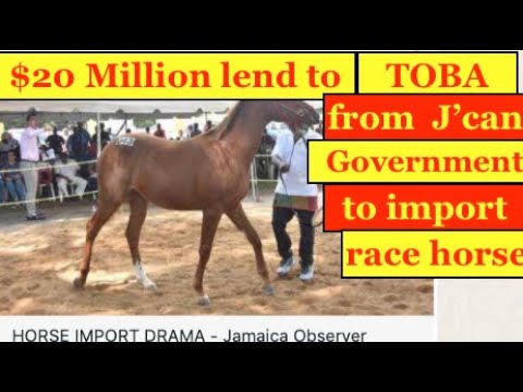 Ja. Gov't lend $20 million loan, to TOBA to import horse from Canada, now stuck in USA for 1 year