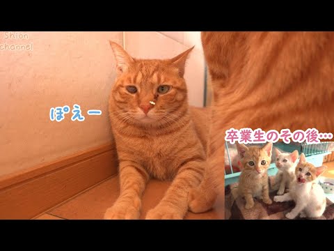 おーい、猫砂ついてるよ～ ＆ 「モネの睡蓮」３姉弟のその後…