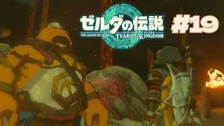 深穴探索がとにかく怖い【ゼルダの伝説TotK #19】