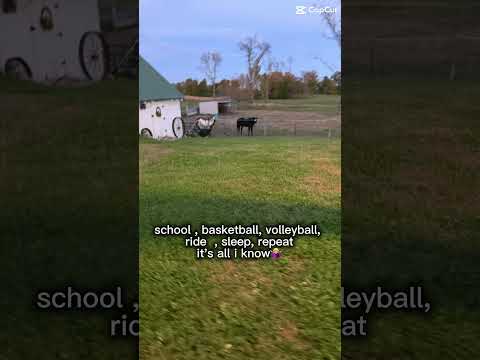 It’s all i know #horse #equestrianjourney #horseenthusiast #stopanimalabuse #equestrian #horsefan