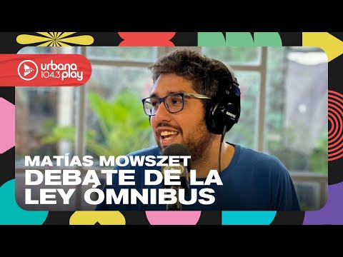 Ley Ómnibus: actualización del debate por Matías Mowszet en #Perros2024