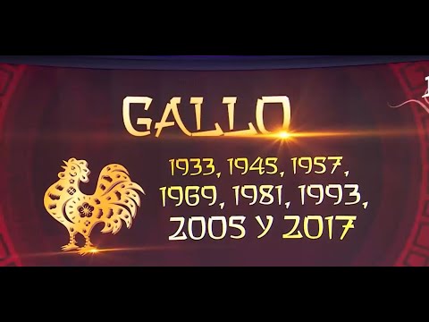 La numeróloga, Paula González y el Horóscopo Chino: El Gallo. Tú Día, Canal 13.