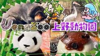 【ノープランで】春の上野動物園をふらっと散策【こうなる】