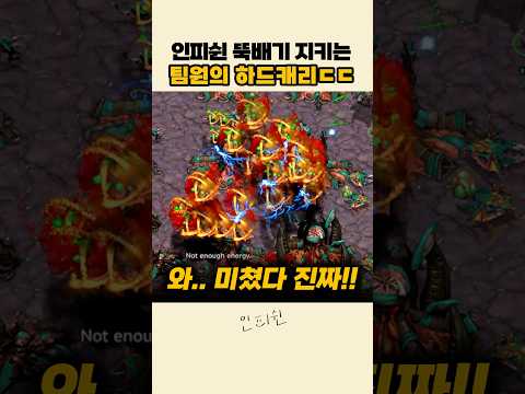 2칼라 뮤탈 <strong>다</strong> 막아주는 팀원ㄷㄷ