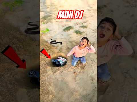 Remote Control Mini DJ Trucks😱!! Small Dj Pickup !! #dj #djtruck #minidjtruck #djsong #minidj #djdj