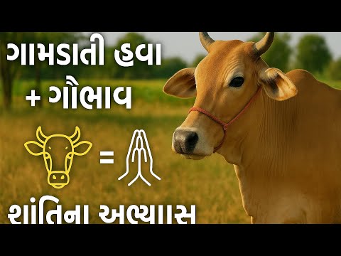 “ગામડાની હવા + ગૌભાવ = શાંતિનો અભ્યાસ 🙏 #gaumata #fullvlog #viral #trending #village #villagelife 