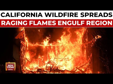 California Wildfires: Los Angeles Becomes Tinderbox, Hollywood Hills Ablaze, Rescue Efforts Continue