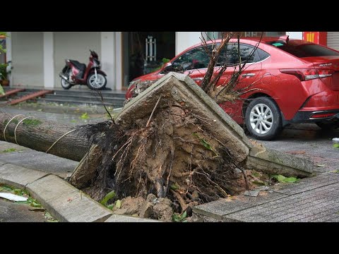 Typhoon Bualoi kills dozens in Vietnam and Philippines | AFP