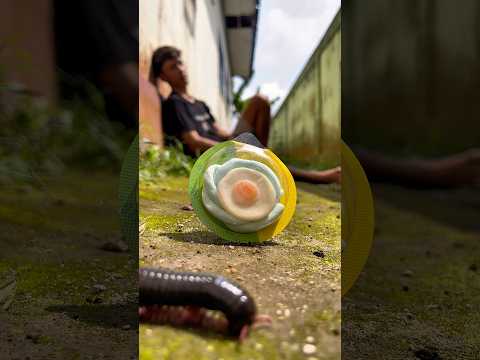 Enxienty, No need to worry because the millipede is already here #shortvideo #millipede