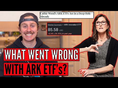 Rise and Fall of the Queen of WallStreet - ARK ETF's