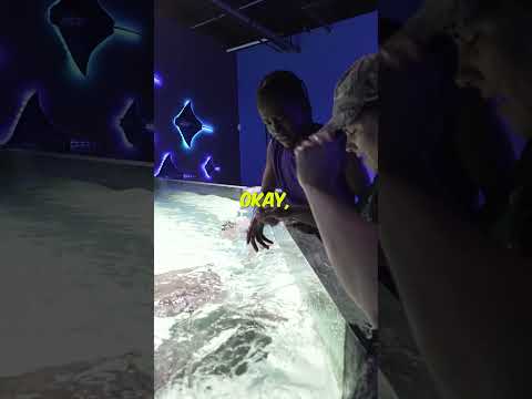 Connie Feeds The Stingrays For The 1st Time! 💪  Have you subscribed? Linktree_ https_//linktr.ee/brianbarczyk

Become A YouTube Member & Get Your Cu
