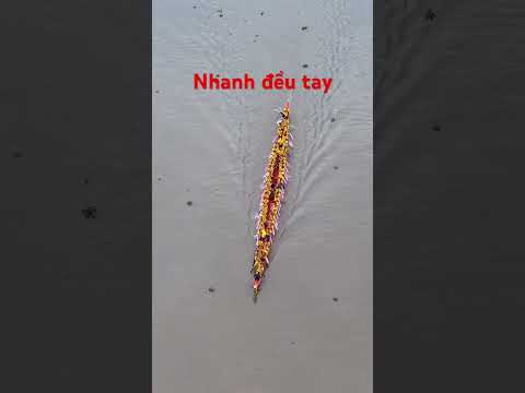 Rất nhanh đều tay