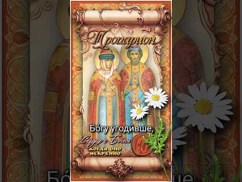 27 июля Блгвв. князь Владимир и княгиня Агриппина, Ржевские (XVI век)