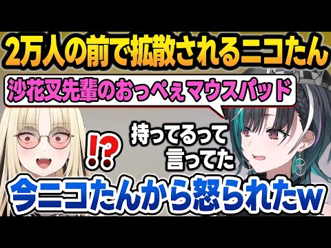 2万人の前でニコたんが沙花叉のおっぺぇマウスパッド持ってるのを言いふらし、ニコたんに怒られる輪堂 千速【輪堂千速/虎金妃笑虎/ホロライブ/切り抜き】