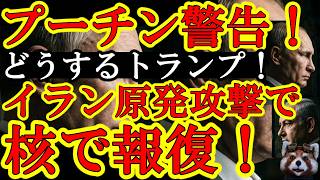 【ぬぉ！なんとプーチンがトランプに警告ぅ！『イラン原子力発電所への空爆は許さん！』大佐の話だと『核で反撃』とか言ってる涙】しかもイラン狂気の