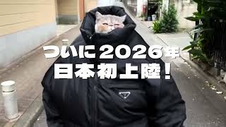 動画サムネイル