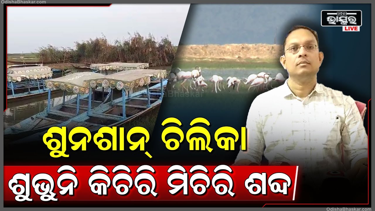 ଚିଲିକା ରୁ ଘରମୁହାଁ ହେଲେ ବିଦେଶୀ ପକ୍ଷୀ, ଚିଲିକାରେ ଆଉ ଶୁଭିବନି ପକ୍ଷୀଙ୍କ କିଚିରି ମିଚିରି ଶବ୍ଦ ।