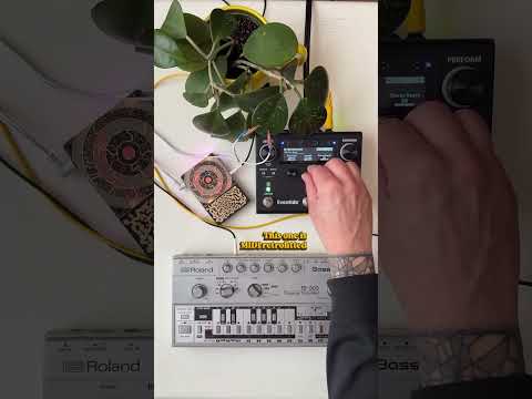 Using a plant as an organic signal path for the H90