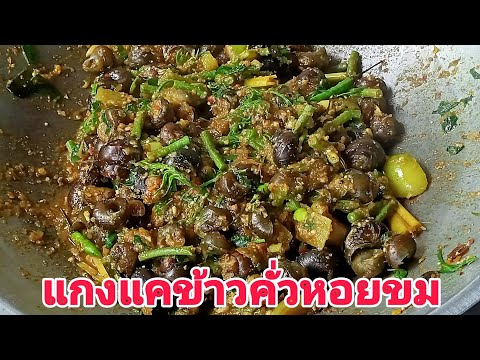 แกงแคข้าวคั่วหอยขม-อร่อยเลิศ-E แกงแคข้าวคั่วหอยขม-อร่อยเลิศ-E
