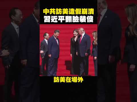 小粉紅收紅錢崩潰！中國留學生歡迎習近平，600美金到手剩60元，跪地痛哭 #shorts
