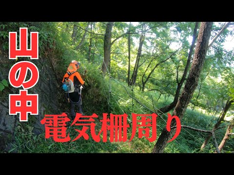 山の中の電気柵周辺の草刈りが地味にキツイ!
