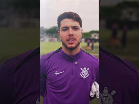 image para ilustrar o artigo