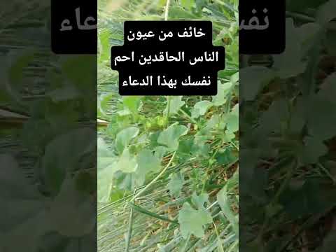 خائف من عيون الناس الحاقدين احم نفسك بهذا الدعاء #قراقيش_فود #اكسبلور