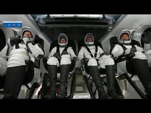 L'équipage du SpaceX s'installe à bord de la capsule Crew Dragon | AFP Images