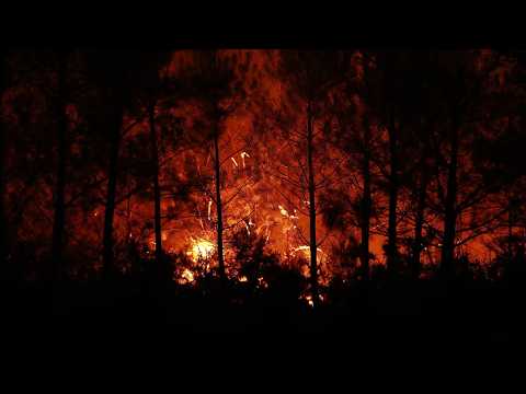 Live: Historic wildfires tear across southwestern Europe