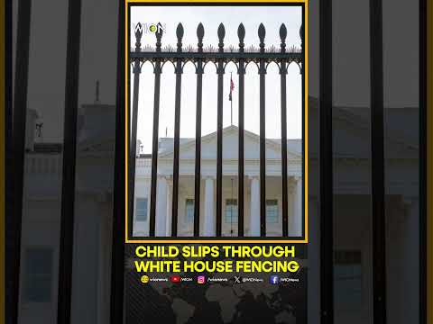 Child Slips Through Fencing At White House And Is Intercepted By Secret Service | WION Shorts