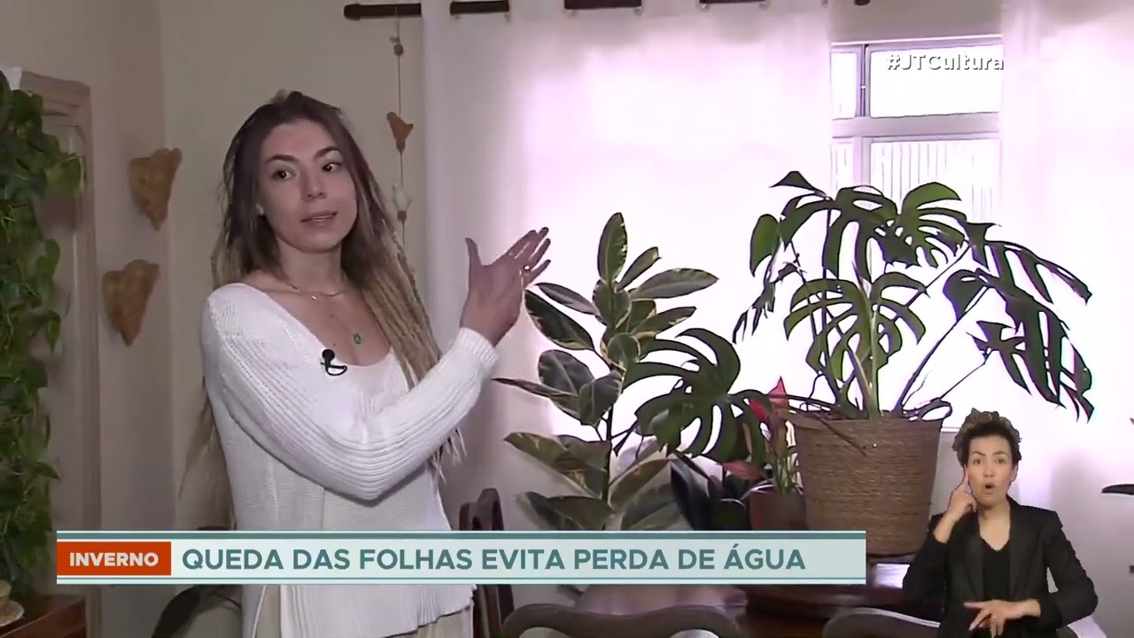 Baixa umidade no inverno influencia o comportamento das plantas