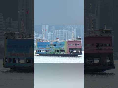 民安級汽車渡輪「民富號」#ferry #boat #tour #hk #hongkong #music #classicalmusic #guitar #香港 #hknature #旅遊 #休閒 #船