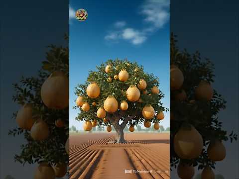 big amrood ka pedh 😀😍 #shortvideo #ytshort #viralshort #trendingshorts #cartoonvideo