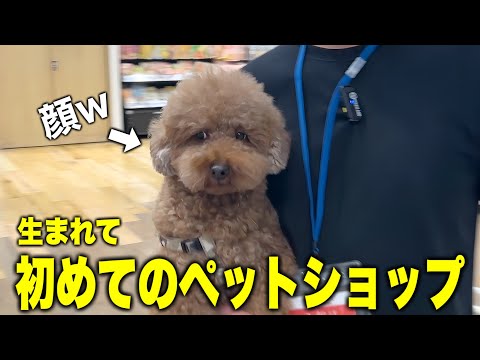 【初潜入】生まれて初めてペットショップに行ってきました！