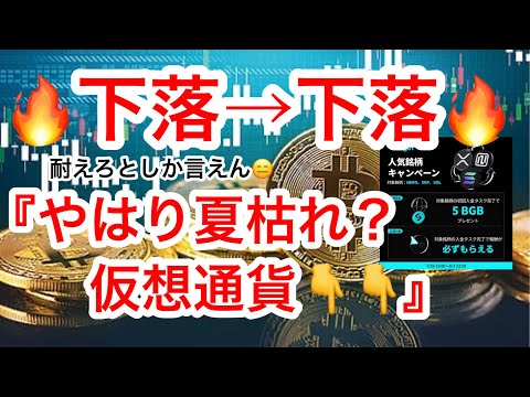 【ビットコイン下落❗️反発候補の価格帯は⁉️】雇用統計を受けリスクオフムードに🫡
