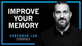 Thumbnail for the video "Understand & Improve Memory Using Science-Based Tools | Huberman Lab Essentials" from Andrew Huberman