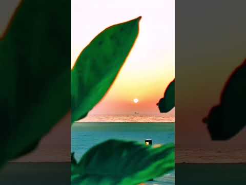 Sun set