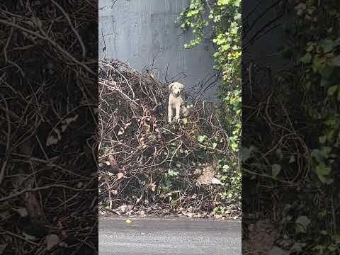 Que tiene a Billy tan nervioso jajajajajaja