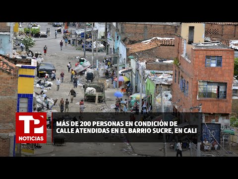 Más de 200 personas en condición de calle atendidas en el barrio Sucre, en Cali |23.06.2024| TPN