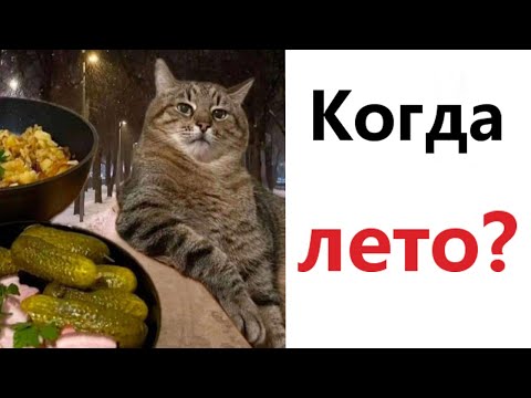 Приколы! 😱  КОГДА ЛЕТО! Смешные видео - Доми шоу!