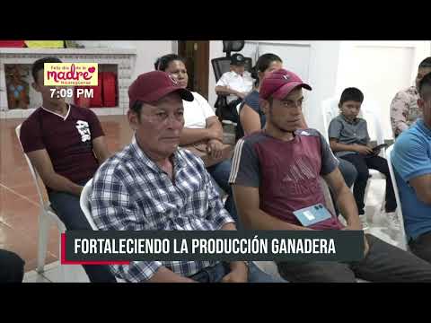 ¡Ganadería en auge! Matagalpa realiza importante foro ganadero en Matiguás